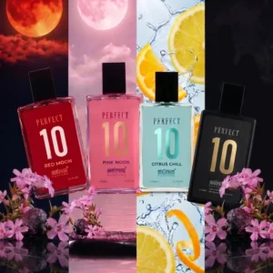 Exclusive Bundles